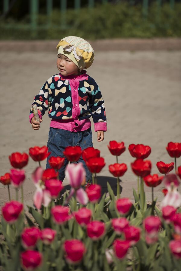 Клумбы тюльпанов в центре города Бишкек - Sputnik Кыргызстан