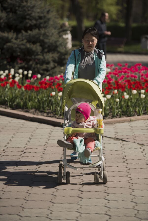 Клумбы тюльпанов в центре города Бишкек - Sputnik Кыргызстан