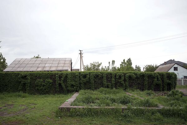 Надпись, вырезанная из кустов Я люблю Кыргызстан - Sputnik Кыргызстан