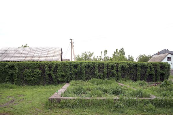 Надпись Я люблю Кыргызстан, вырезанная из кустов - Sputnik Кыргызстан