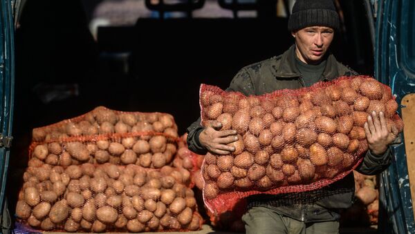 Мужчина несет мешок с картошкой. Архивное фото - Sputnik Кыргызстан