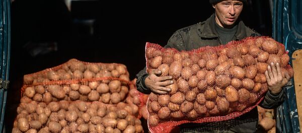 Мужчина несет мешок с картошкой. Архивное фото - Sputnik Кыргызстан