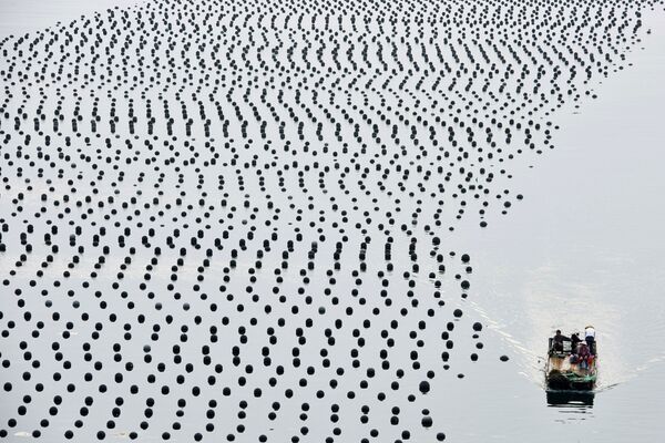 Шэньчжэн көлүндө балык уулоого багыт алган кайык, Гуандун провинциясы (Кытай). - Sputnik Кыргызстан