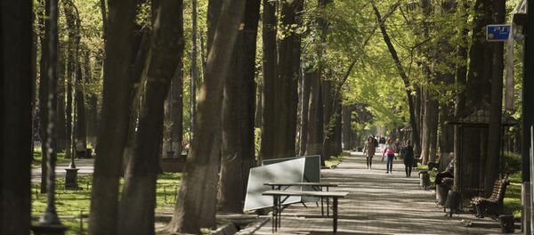 Люди на бульваре Эркиндик в городе Бишкек. Архивное фото - Sputnik Кыргызстан