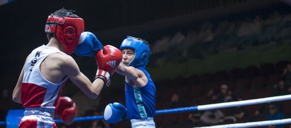 Боксчулар. Архив Боксчулар. Архив - Sputnik Кыргызстан