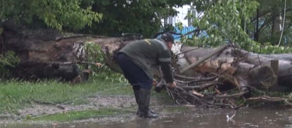 Град, потоп и погубленные семена. Последствия стихии в Таласе - Sputnik Кыргызстан