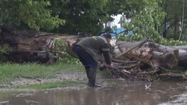 Град, потоп и погубленные семена. Последствия стихии в Таласе - Sputnik Кыргызстан