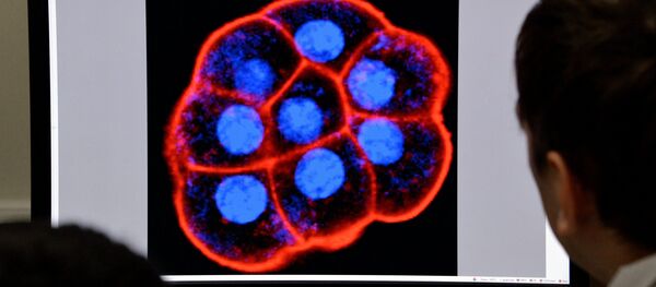 Лаборатория биомедицинских клеточных технологий во Владивостоке - Sputnik Кыргызстан