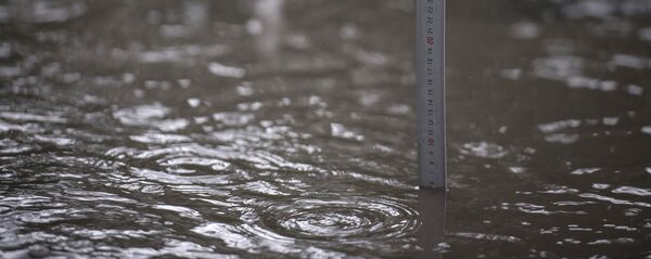 Көлчүк. Архив Көлчүк. Архив - Sputnik Кыргызстан