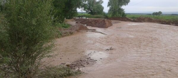 Сел кесепеттери. Архив - Sputnik Кыргызстан