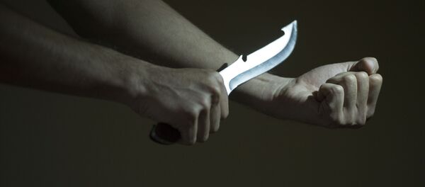 Мужчина с ножом в руке. Архивное фото - Sputnik Кыргызстан