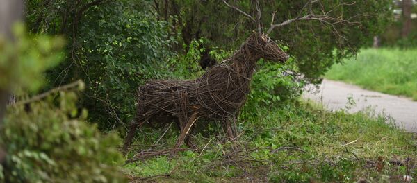 Фигура оленя сделанная из веток. Архивное фото Фигура оленя сделанная из веток. Архивное фото - Sputnik Кыргызстан