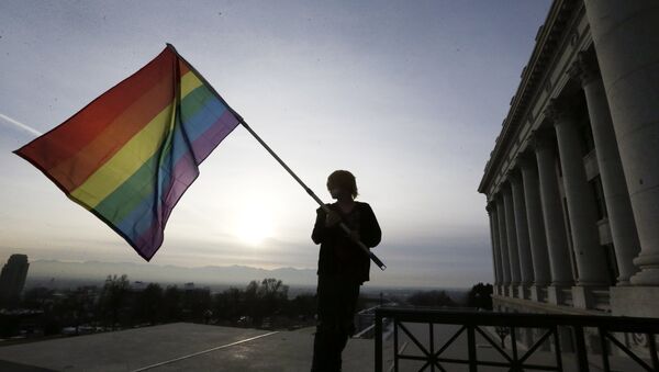 Радужный флаг - символ движения геев и лесбиянок. Архивное фото - Sputnik Кыргызстан