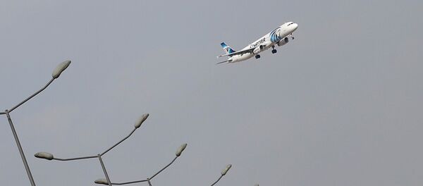 Самолет авиакомпании EgyptAir. Архивное фото - Sputnik Кыргызстан