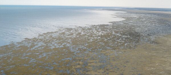 Берег пересыхающего Аральского моря. Архивное фото - Sputnik Кыргызстан