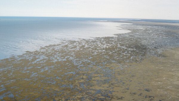 Берег пересыхающего Аральского моря. Архивное фото - Sputnik Кыргызстан
