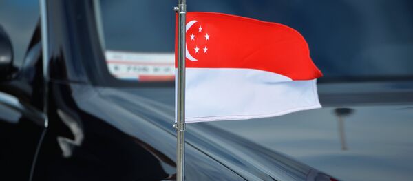 Флаг Республики Сингапур на автомобиле. Архивное фото - Sputnik Кыргызстан