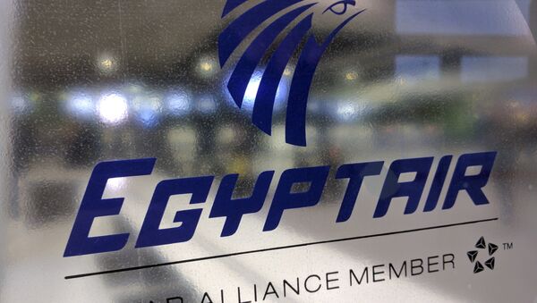 Табличка авиакомпании EgyptAir в аэропорту Шарль де Голль в Париже, Франция. Архивное фото - Sputnik Кыргызстан