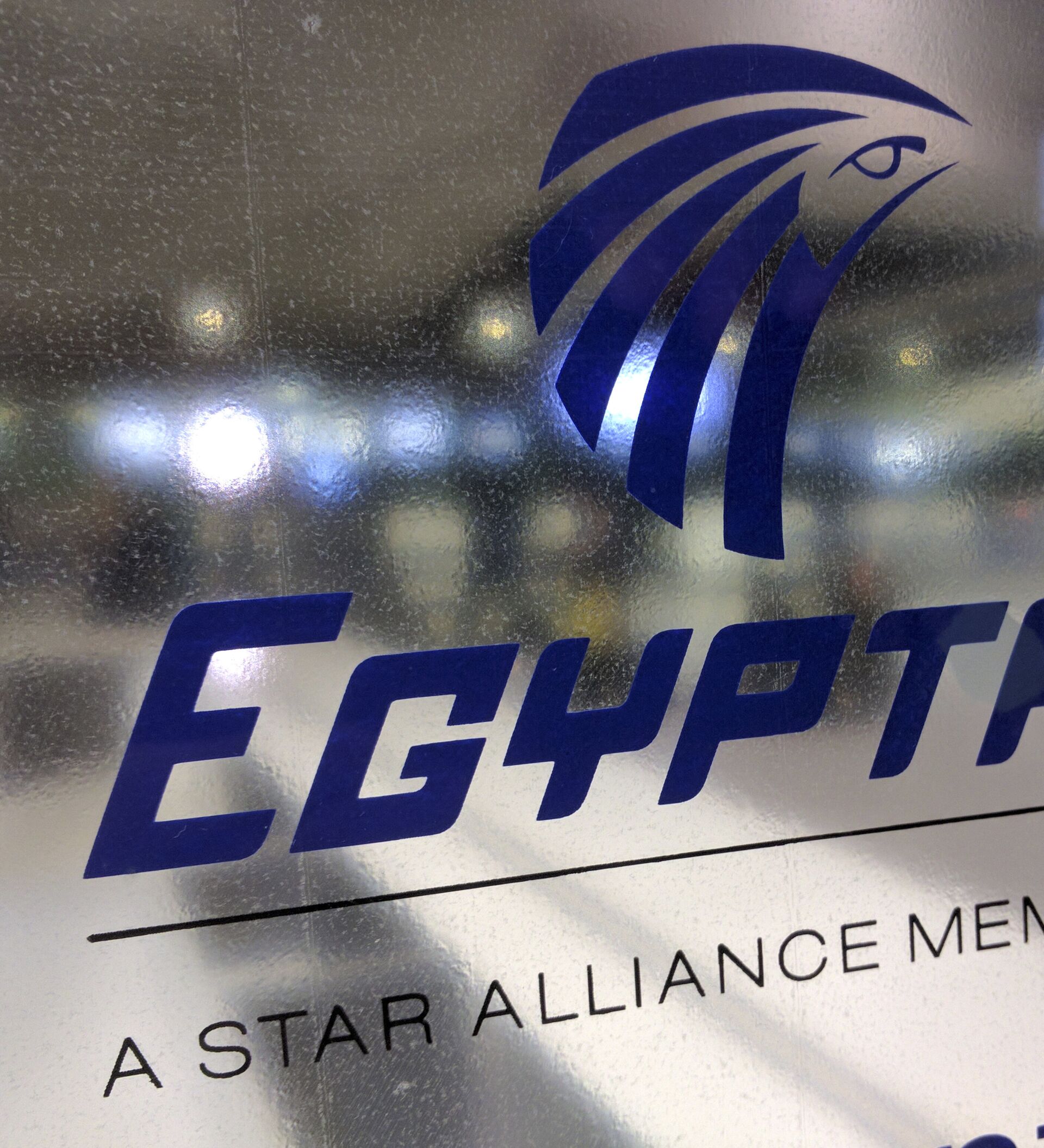 Egyptair купить билет. EGYPTAIR логотип. Egypt Air лого. Египет АИР лого.