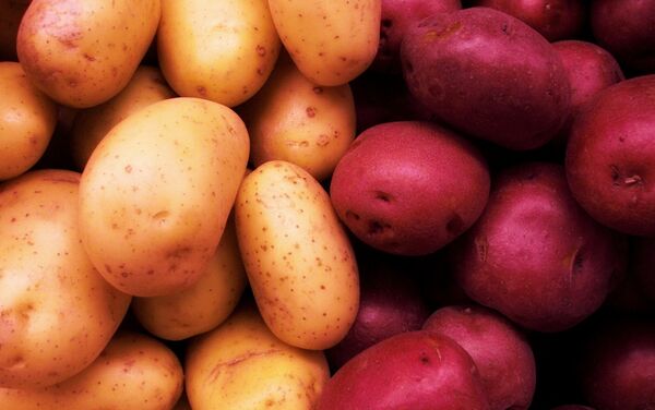 Белые и красные картофели. Архивное фото - Sputnik Кыргызстан
