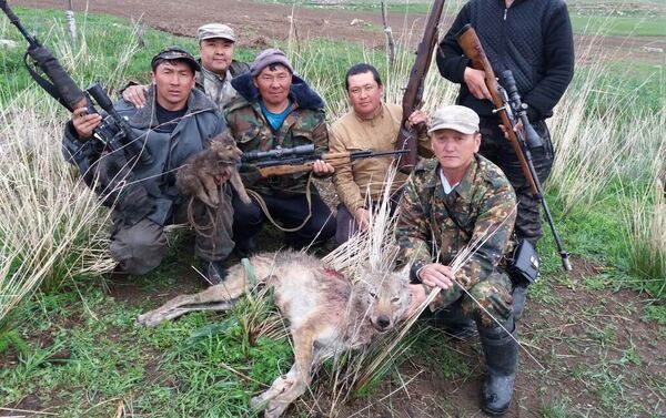 Жители села Кара-Суу с убитым ими волком - Sputnik Кыргызстан