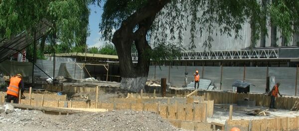 Гендиректор ЦУМа: постараемся сохранить все ивы у фонтана - Sputnik Кыргызстан