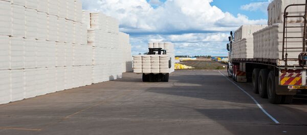 Пахта. Архив - Sputnik Кыргызстан