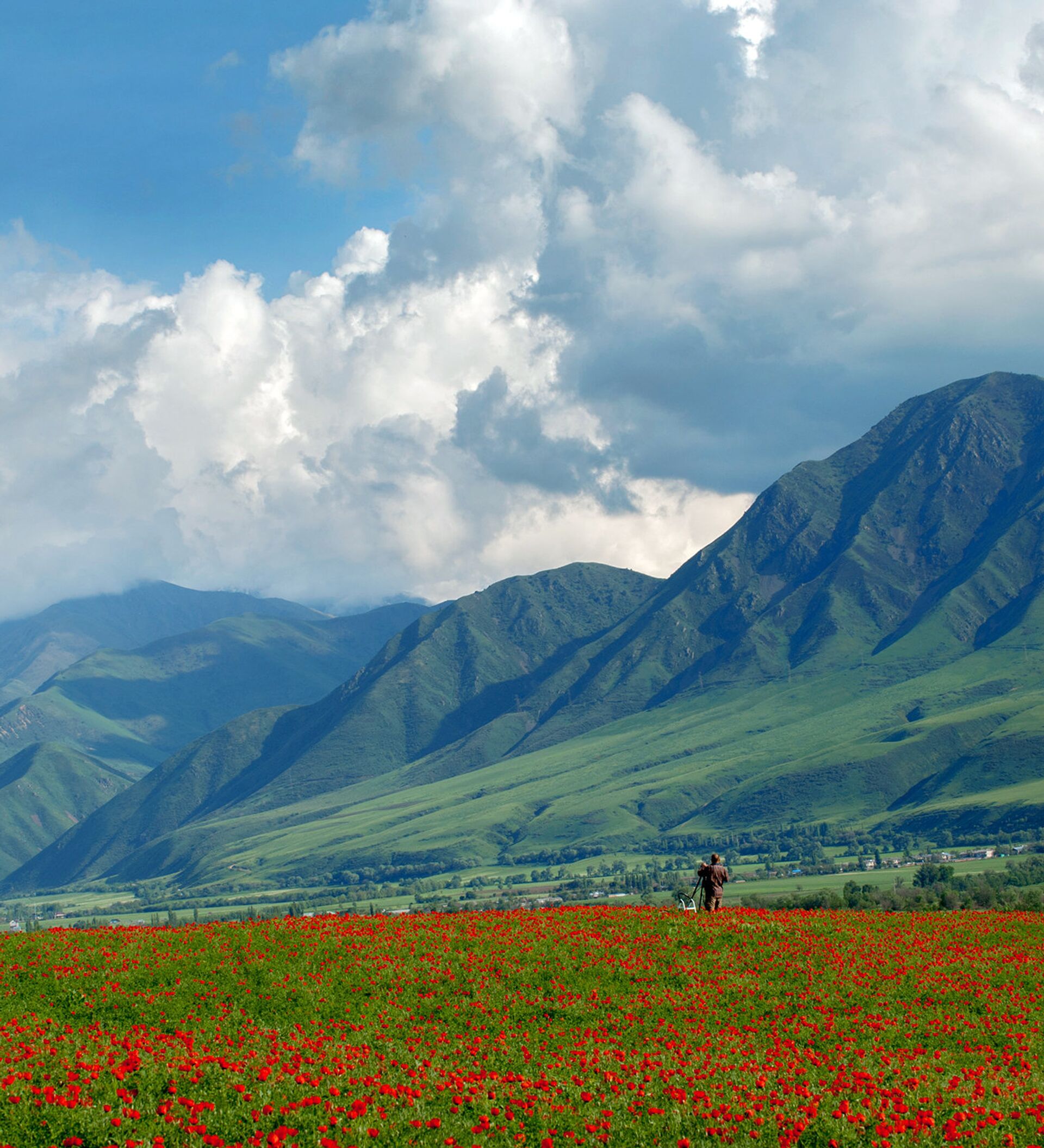 Маковое поле Кыргызстана Иссык Куль