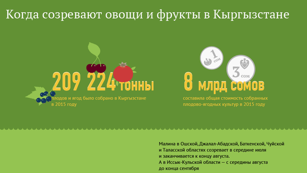 Когда созревают овощи и фрукты в Кыргызстане - Sputnik Кыргызстан