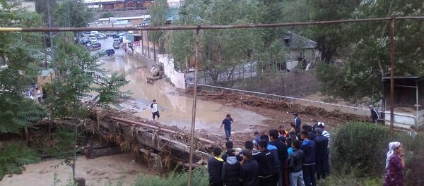 Селевой поток в Кадамджайском районе села Жийделик. Архивное фото - Sputnik Кыргызстан