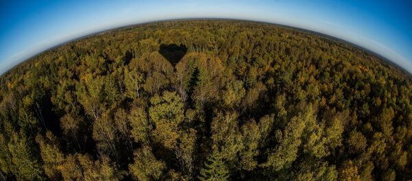 Занятия воздухоплаванием в Московской области - Sputnik Кыргызстан