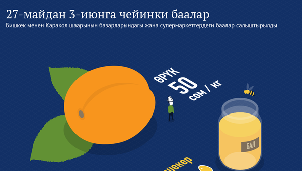 27-майдан 3-июнга чейинки баалар - Sputnik Кыргызстан