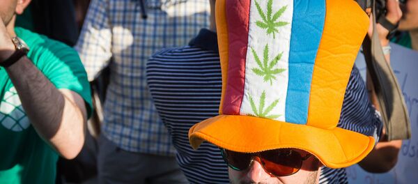 Участник акции за легализацию марихуаны в Тбилиси, Грузия - Sputnik Кыргызстан