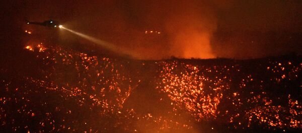 Лесной пожар. Архивное фото - Sputnik Кыргызстан