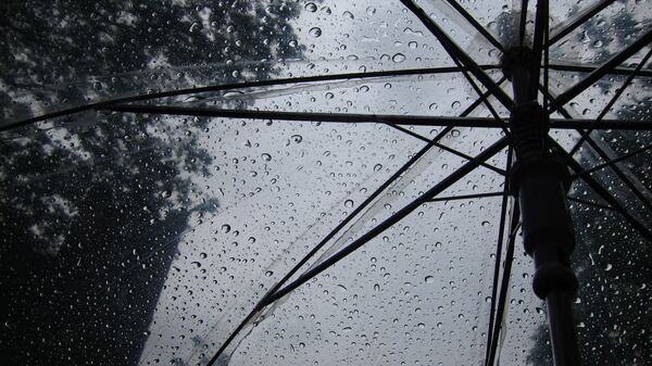 Зонт от дождя - Sputnik Кыргызстан