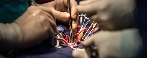 Кардиохирург Лео Бокерия удостоен награды Орден Александра Невского - Sputnik Кыргызстан