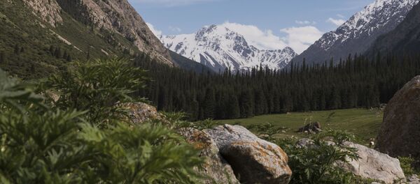 Вид на горное ущелье Джеты-Огуз в Иссык-Кульской области. Архивное фото - Sputnik Кыргызстан