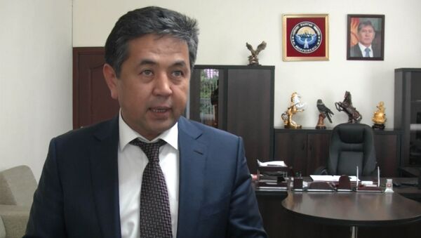 Сарпашев рассказал, где в новом паспорте будет указана национальность - Sputnik Кыргызстан