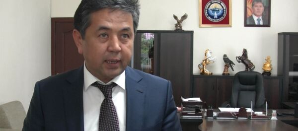 Сарпашев рассказал, где в новом паспорте будет указана национальность - Sputnik Кыргызстан