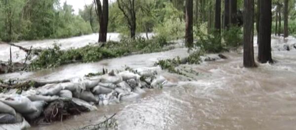 Талас дарыясынын суусу эки эсе көбөйүп, үйлөрдү каптады. Жеринен алынган - Sputnik Кыргызстан