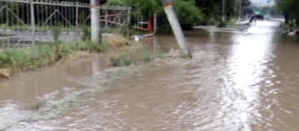 Из-за дождей река Талас вышла из берегов и затопила окрестности - Sputnik Кыргызстан