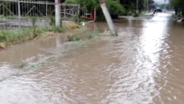 Из-за дождей река Талас вышла из берегов и затопила окрестности - Sputnik Кыргызстан