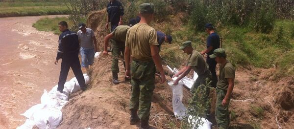 Дарыя бойлорун бекемдөө иштери. Архив - Sputnik Кыргызстан