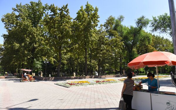 Пораженные минирующим пилильщиком дубы в Дубовом парке Бишкека - Sputnik Кыргызстан