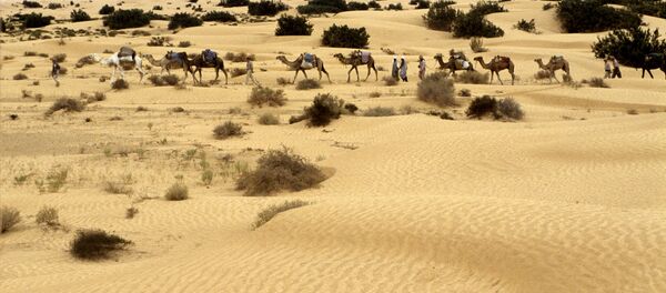 Караван верблюдов с участниками экспедиции в пустыню Сахара. Архивное фото Караван верблюдов с участниками экспедиции в пустыню Сахара. Архивное фото - Sputnik Кыргызстан