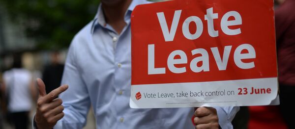 Волонтер на улице Манчестера с агитационным плакатом за выход Великобритании из Европейского Союза. Архивное фото - Sputnik Кыргызстан