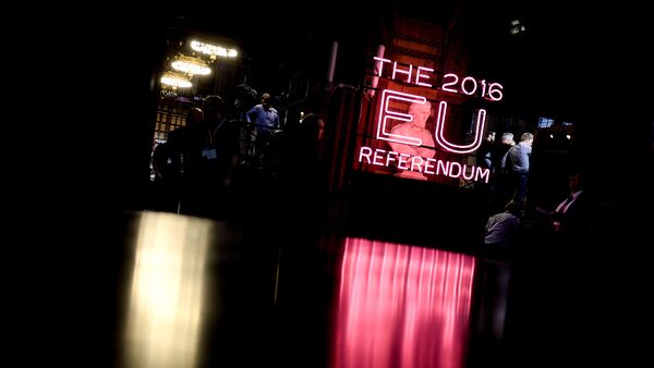 Референдум в Британии по сохранению членства в ЕС. Архивное фото - Sputnik Кыргызстан