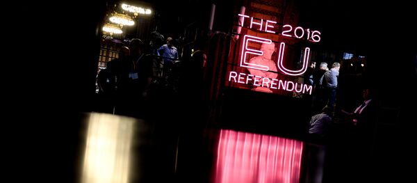 Референдум в Британии по сохранению членства в ЕС. Архивное фото Референдум в Британии по сохранению членства в ЕС. Архивное фото - Sputnik Кыргызстан
