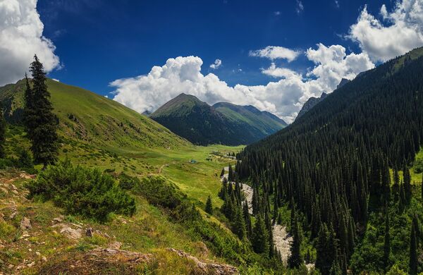 Ущелье Алтын-Арашан - Sputnik Кыргызстан