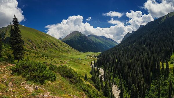 Ущелье Алтын-Арашан в Иссык-Кульской области. Архивное фото - Sputnik Кыргызстан